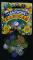 FROSTED RAINBOW-11-sb_photo.jpg